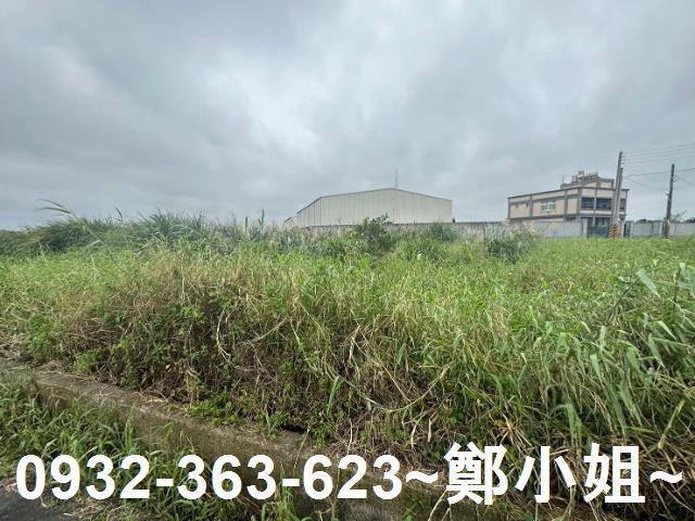 桃園觀音農地-1