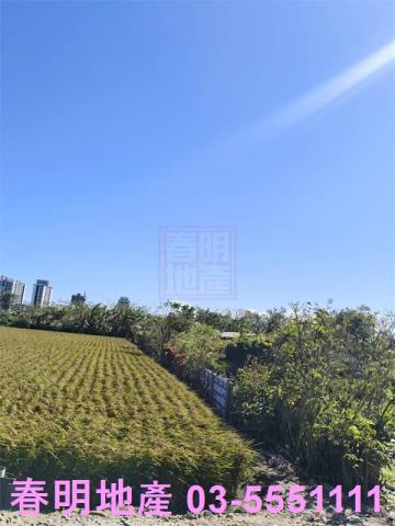 北區農地-5