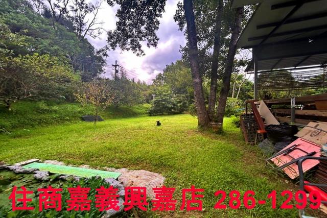 新竹竹東農地-4