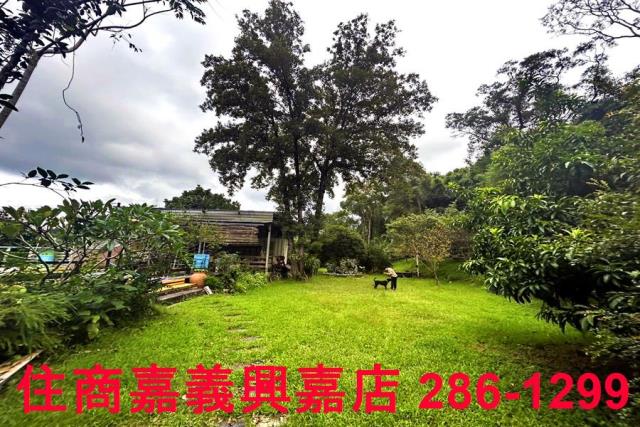 新竹竹東農地-7