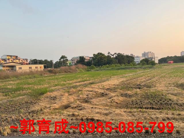 西區農地-1