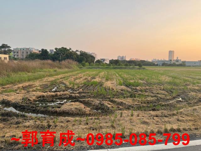 西區農地-2