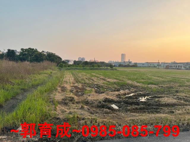 西區農地-3