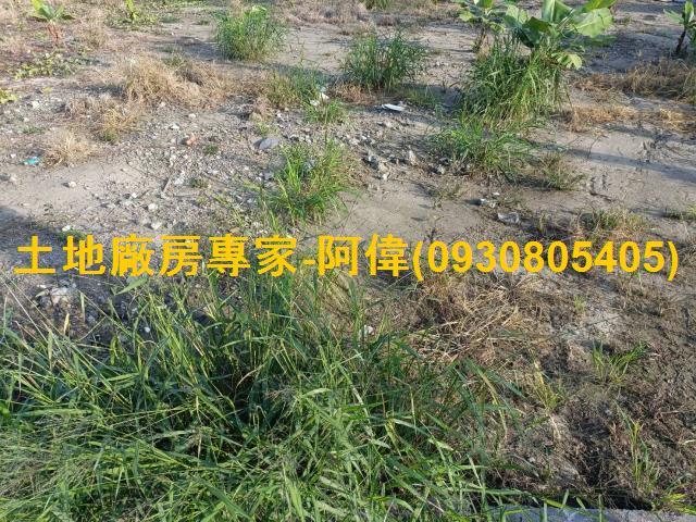 高雄農地-0