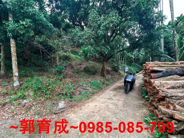 竹崎農地-9