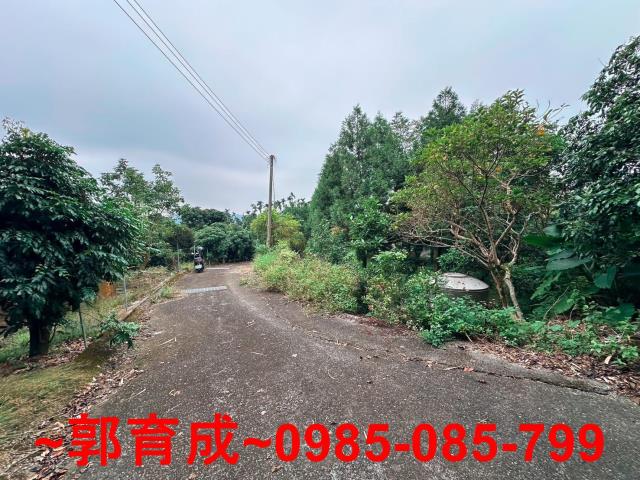 竹崎農地-0