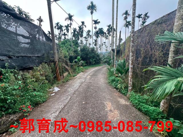 竹崎農地-2