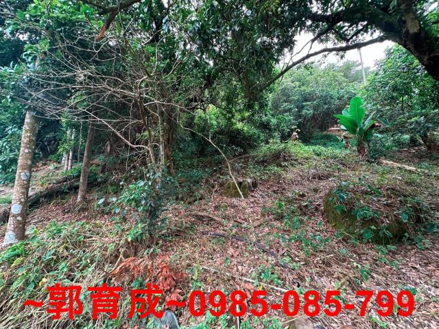 竹崎農地-3