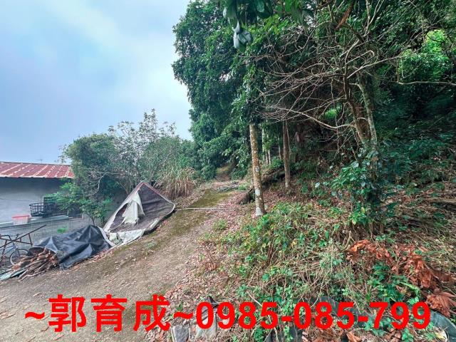 竹崎農地-4
