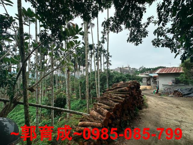 竹崎農地-6