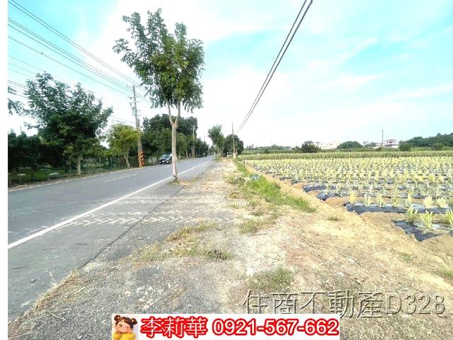 台南農地-4
