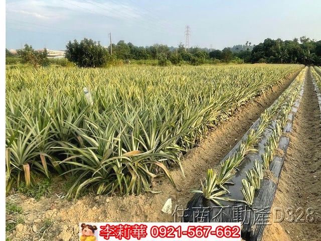 台南農地-6