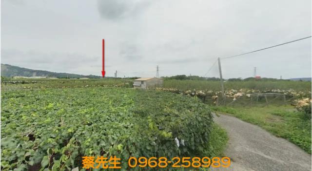 卓蘭法拍卓蘭農地卓蘭土地