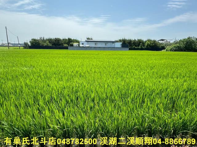 福興農地-0