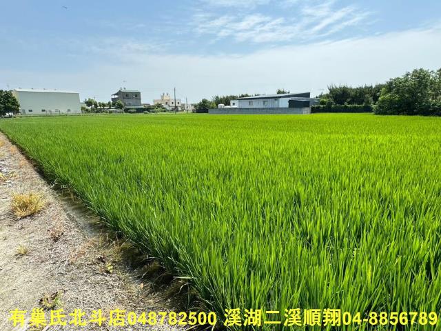 福興農地-1