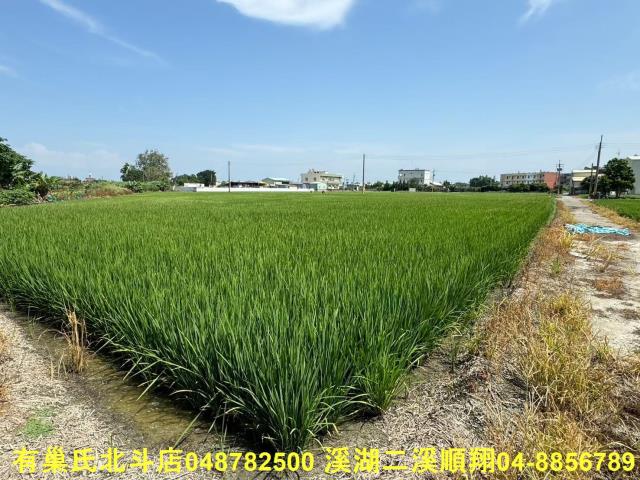福興農地-5