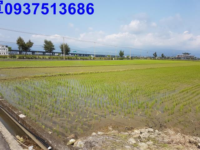 壯圍農地-5