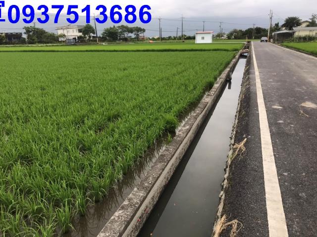 壯圍農地-5