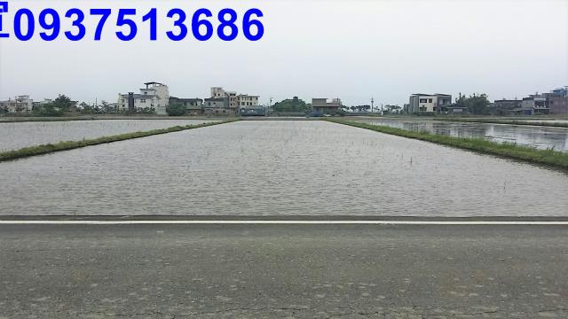 宜蘭農地-7