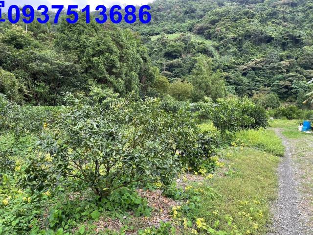 宜蘭農地-6