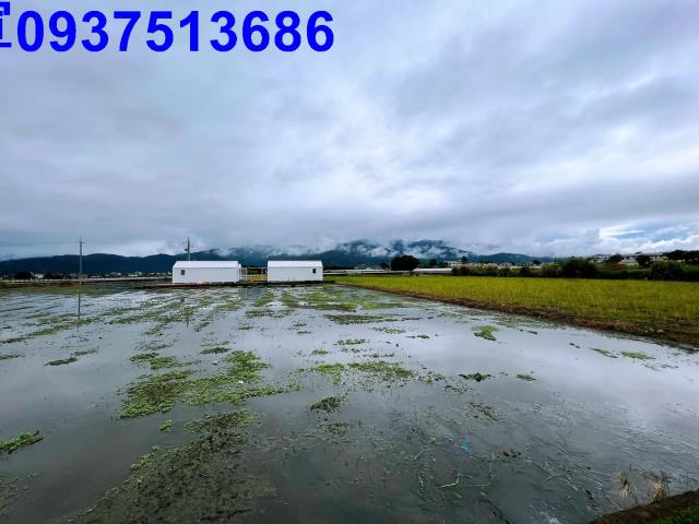宜蘭三星農地-3
