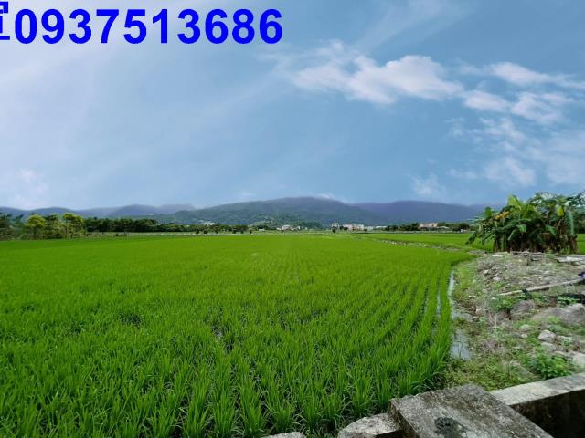 宜蘭三星農地-2