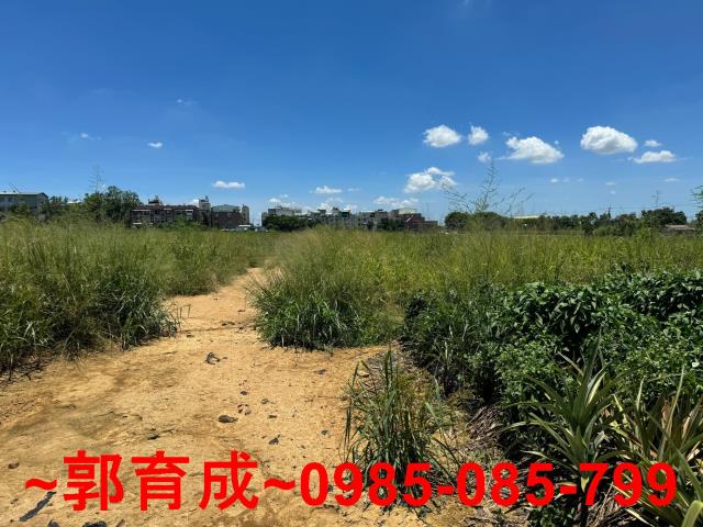 西區農地-1