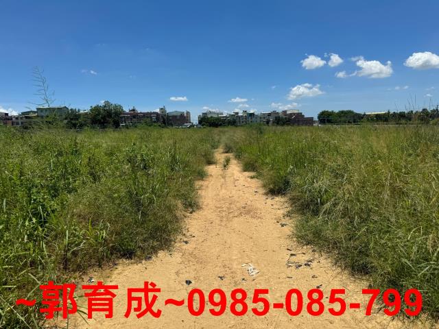 西區農地-6