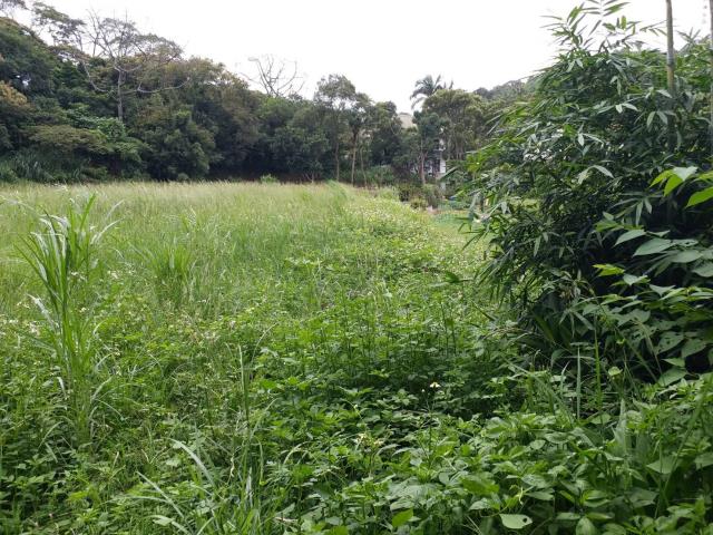 楊梅建地-3