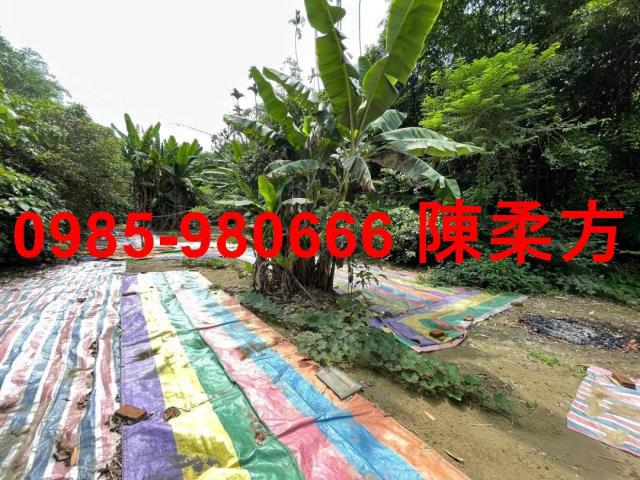 嘉義民雄農地-3