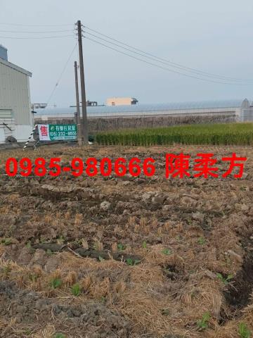 嘉義民雄農地-2