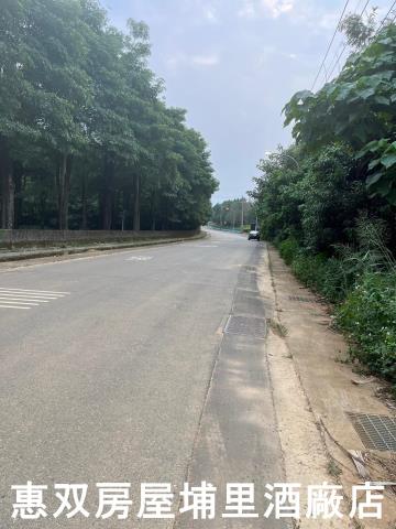 南投埔里農地-3