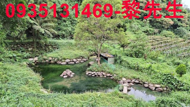 三灣農地-0