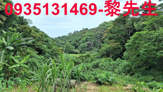 三灣農地-5