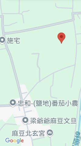 台南麻豆農地-13