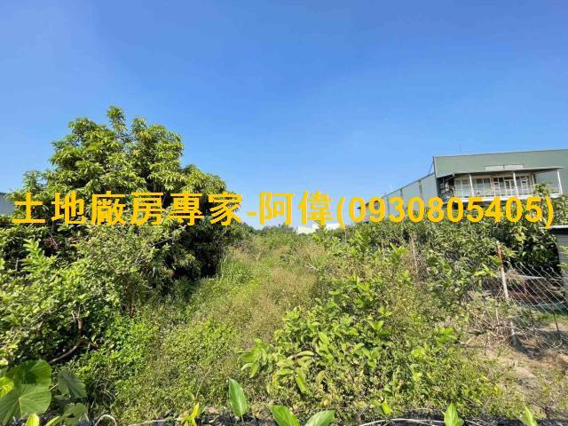 高雄大寮農地-0