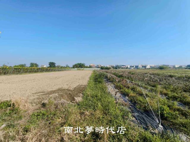 台南農地-3