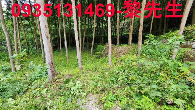 新竹北埔農地-9