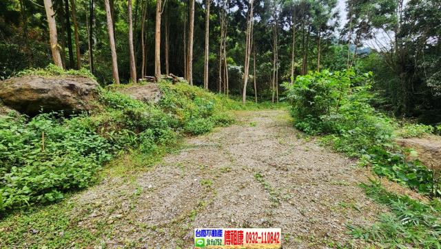 新竹北埔農地-5
