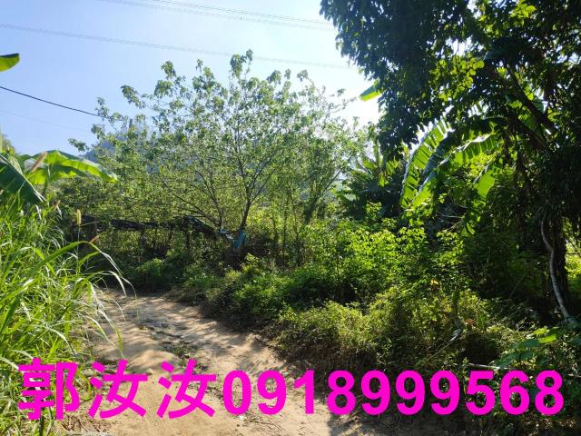 台南白河農地-5