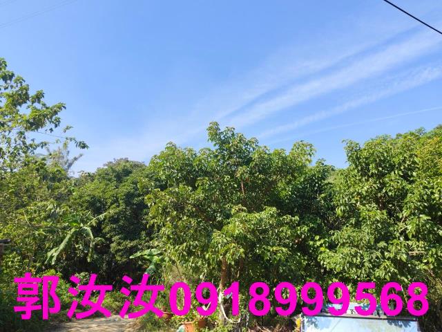 台南白河農地-7