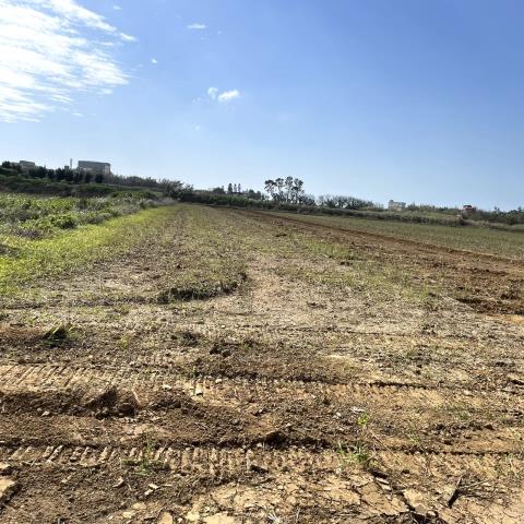 桃園新屋農地-1