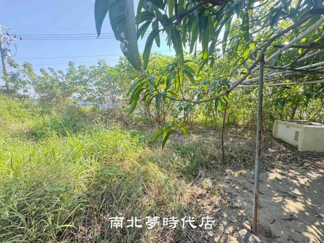 台南南區農地-10