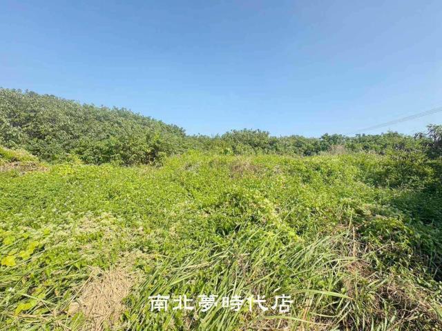 台南南區農地-0