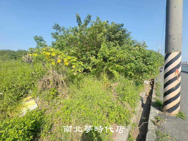 台南南區農地-4
