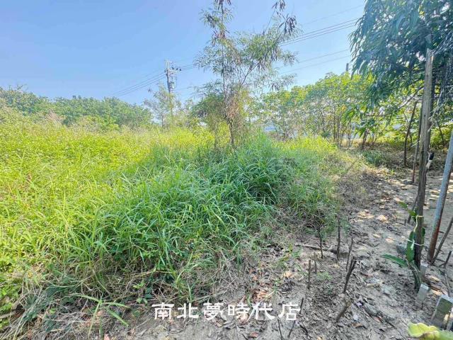台南南區農地-6