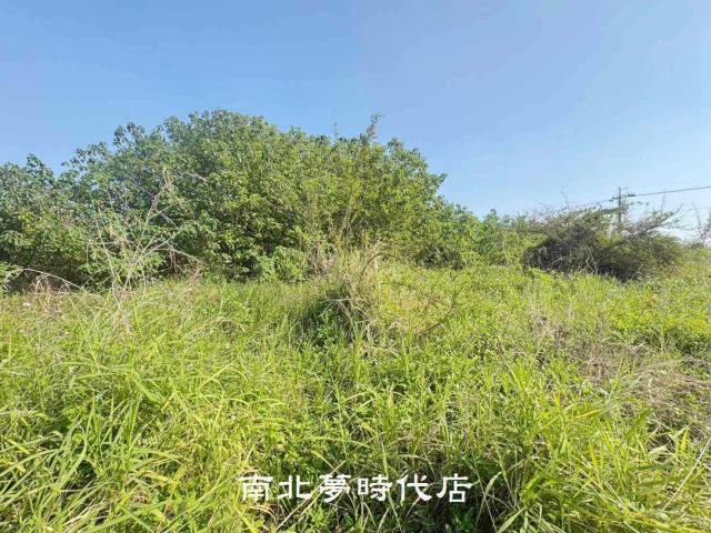 台南南區農地-8