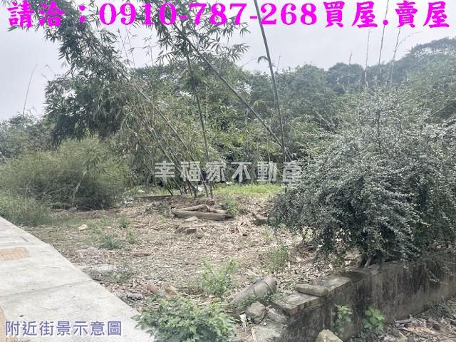 台南白河農地-1