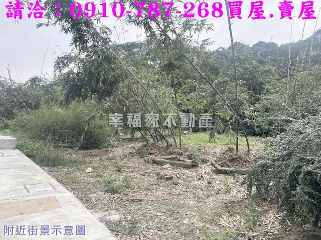 台南白河農地-2