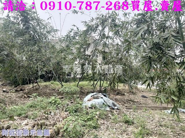 台南白河農地-6